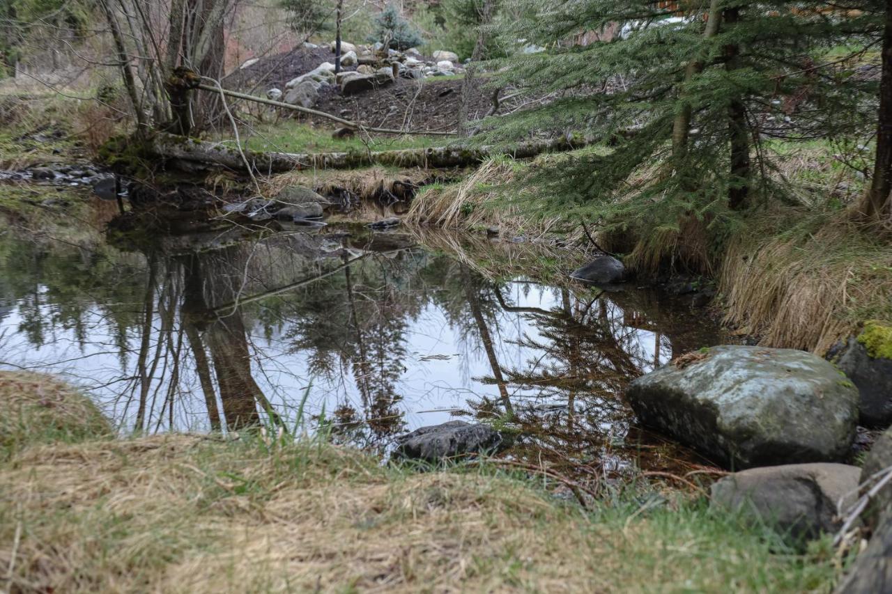 JosephIce Creek Hollow Wood Den At Wallowa Lake别墅 外观 照片